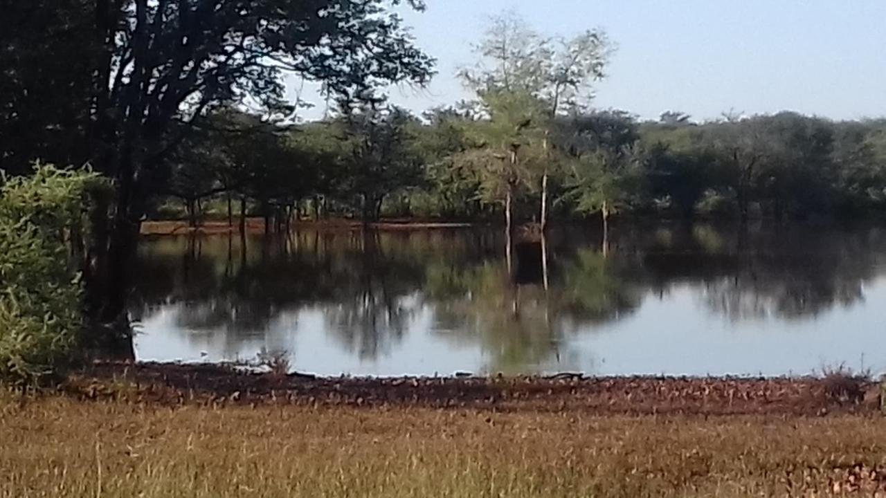 Onduri Lodge Outjo Bagian luar foto
